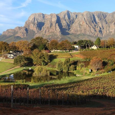 Alluvia Boutique Winery & Luxury Accommodation Stellenbosch Exterior foto The Paarl Mountain Range
