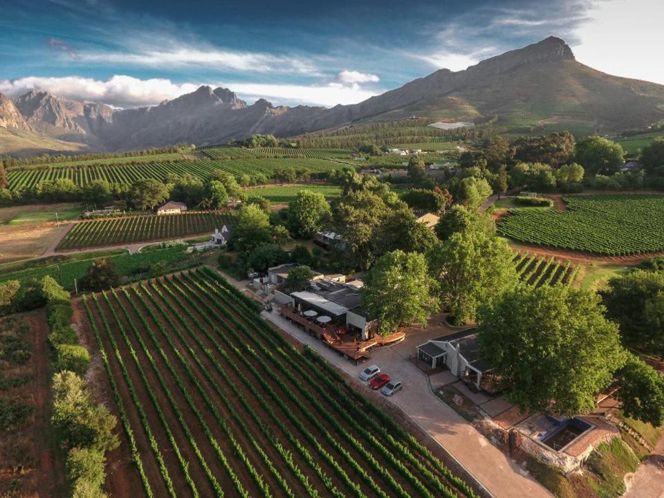 Alluvia Boutique Winery & Luxury Accommodation Stellenbosch Exterior foto Aerial view of the winery