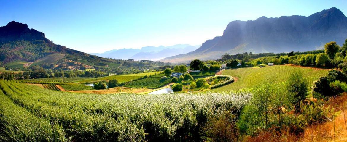 Alluvia Boutique Winery & Luxury Accommodation Stellenbosch Exterior foto The Paarl Wine Route