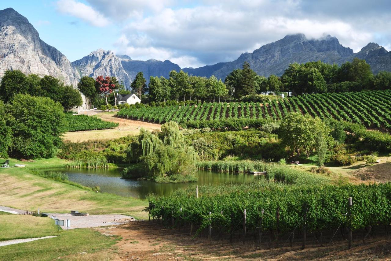 Alluvia Boutique Winery & Luxury Accommodation Stellenbosch Exterior foto Wine estate in Stellenbosch