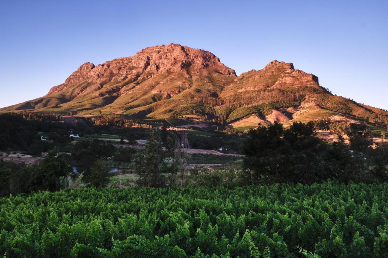 Alluvia Boutique Winery & Luxury Accommodation Stellenbosch Exterior foto The Paarl Mountain