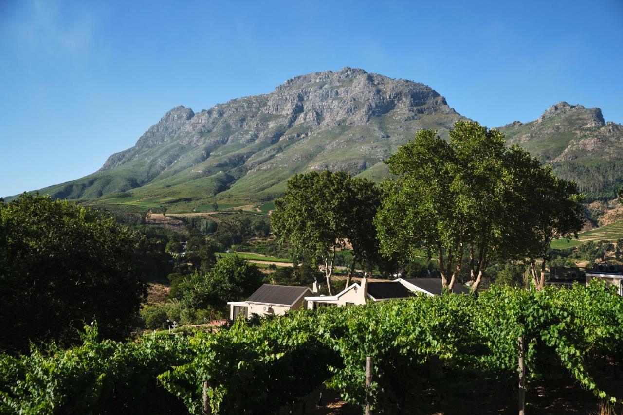 Alluvia Boutique Winery & Luxury Accommodation Stellenbosch Exterior foto Wine estate in Stellenbosch