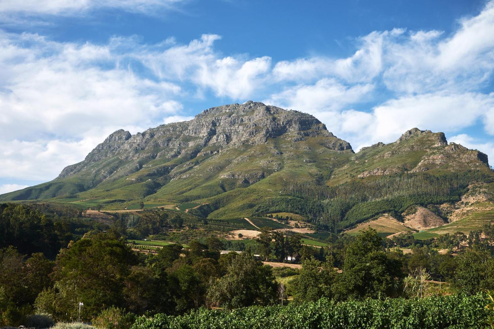 Alluvia Boutique Winery & Luxury Accommodation Stellenbosch Habitación foto The Helderberg