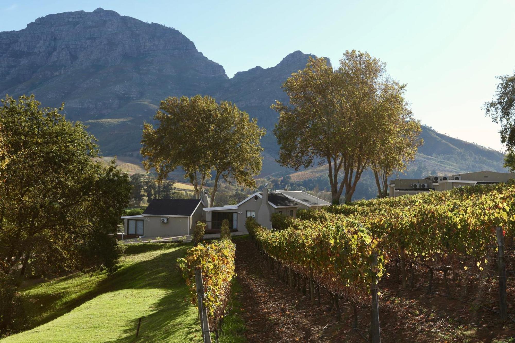 Alluvia Boutique Winery & Luxury Accommodation Stellenbosch Habitación foto Wine estate in Stellenbosch
