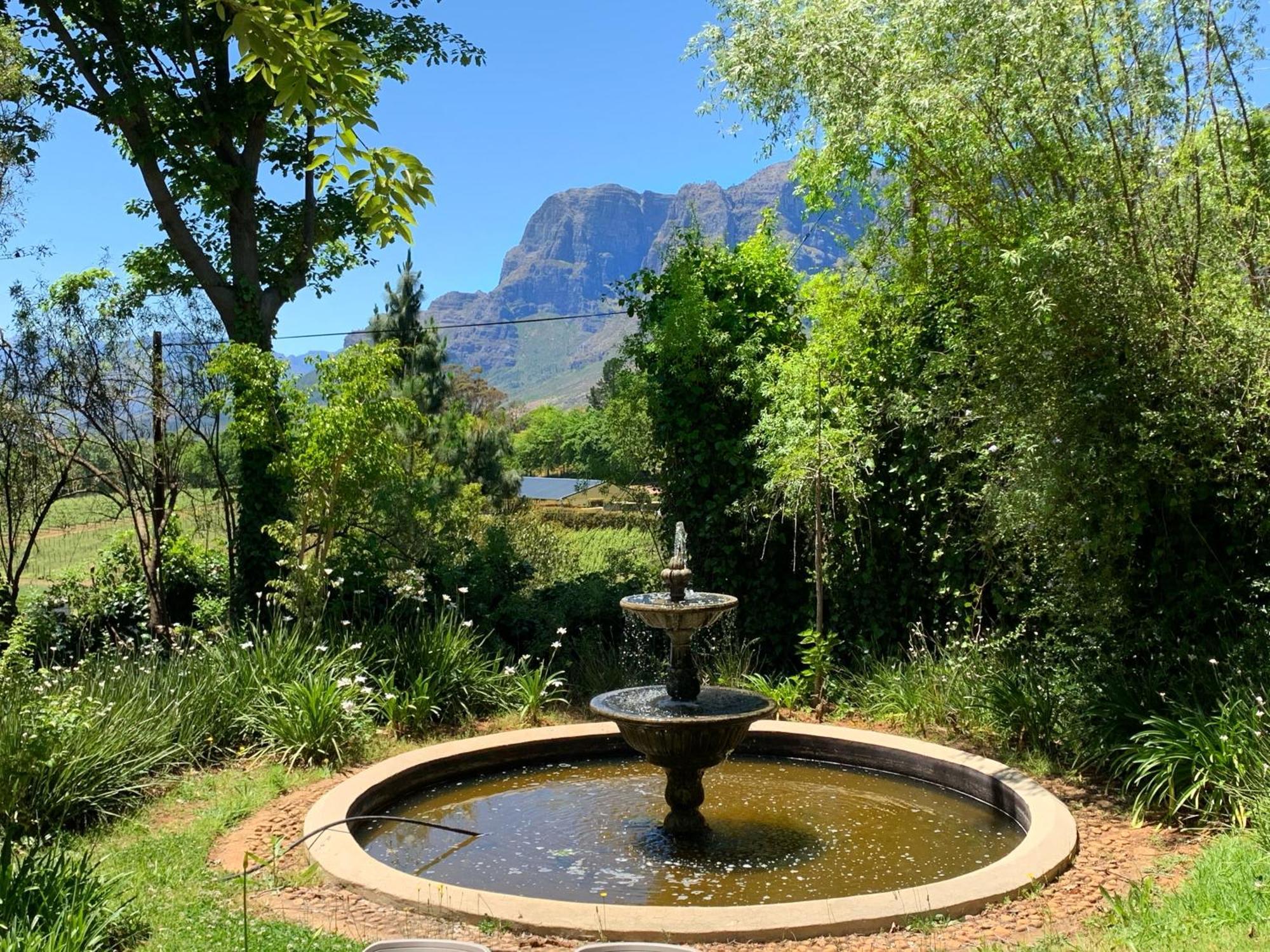 Alluvia Boutique Winery & Luxury Accommodation Stellenbosch Habitación foto Fountain at the entrance of the Tokai Arboretum